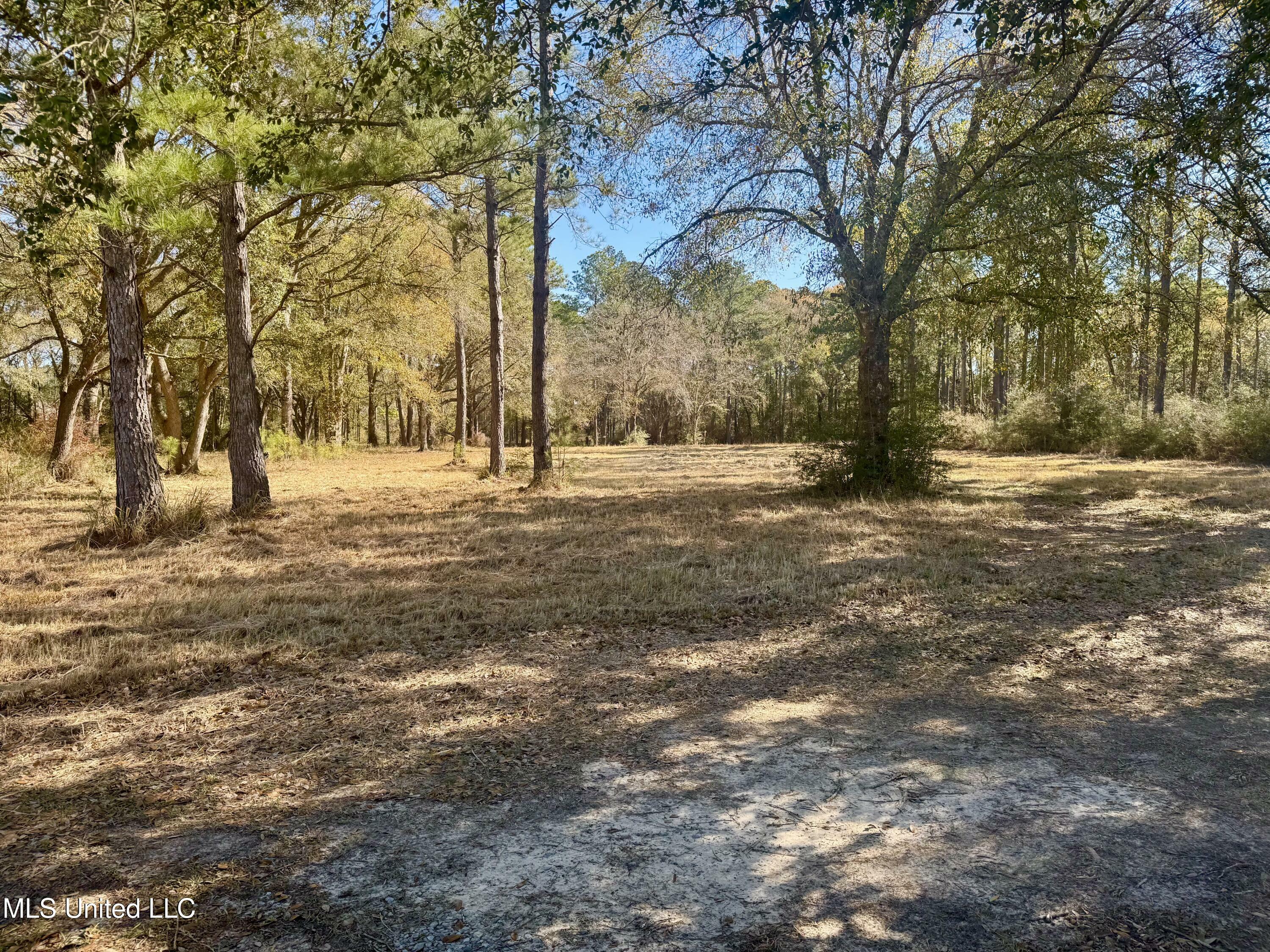 Property Photo:  18000 Rayford Shumock Road  MS 39562 