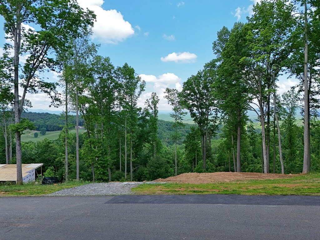 Property Photo:  Lot 139 Winding Ridge  GA 30512 