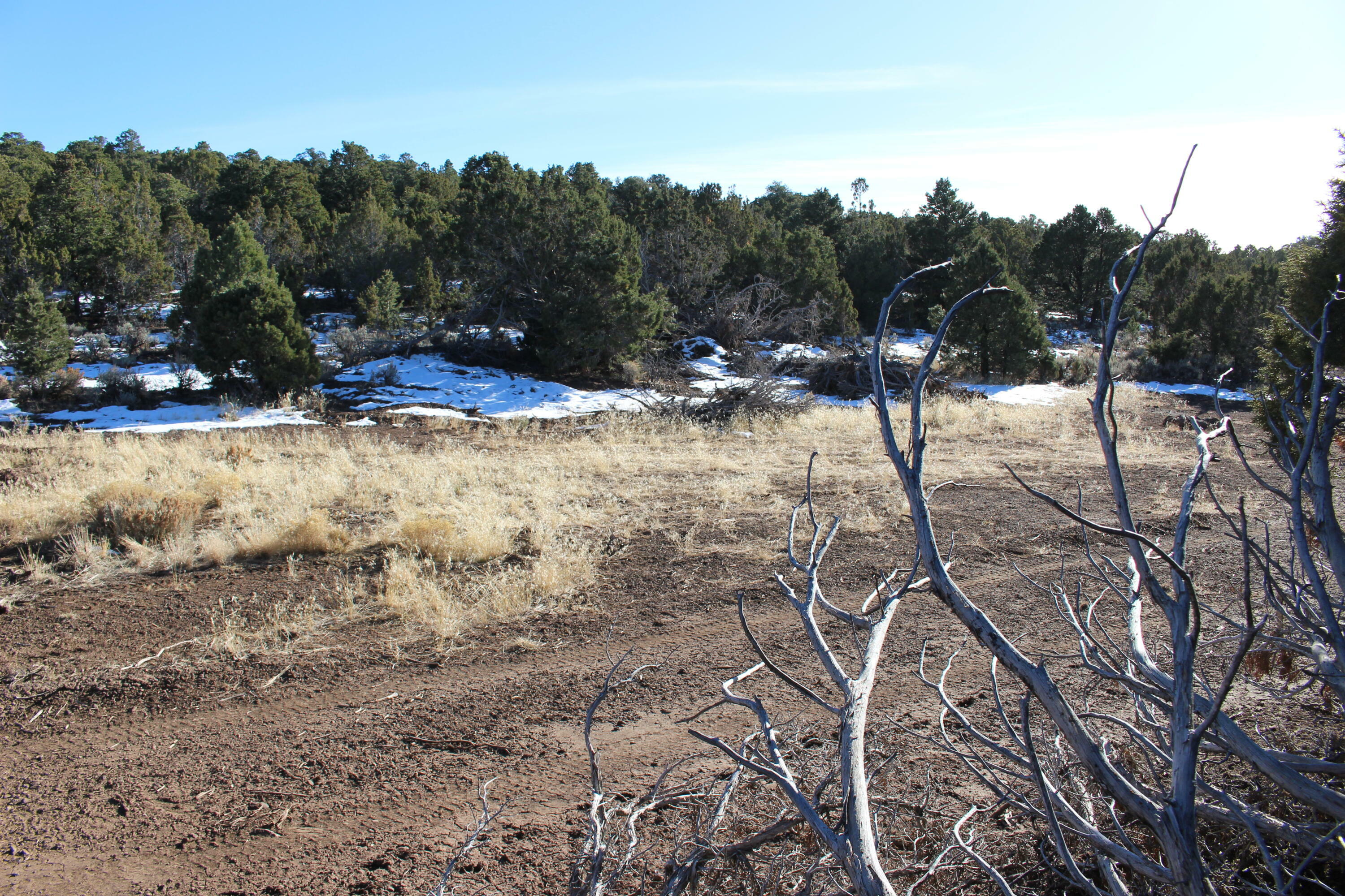 Property Photo:  Jack Rabbit Mountain  UT 84760 