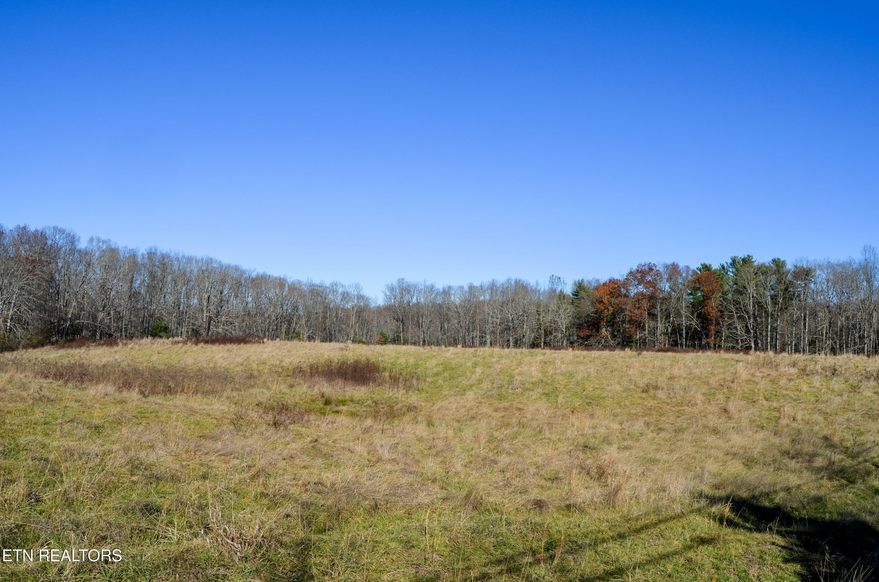 Property Photo:  Sparta Hwy 31.65 +/- Acres  TN 38555 