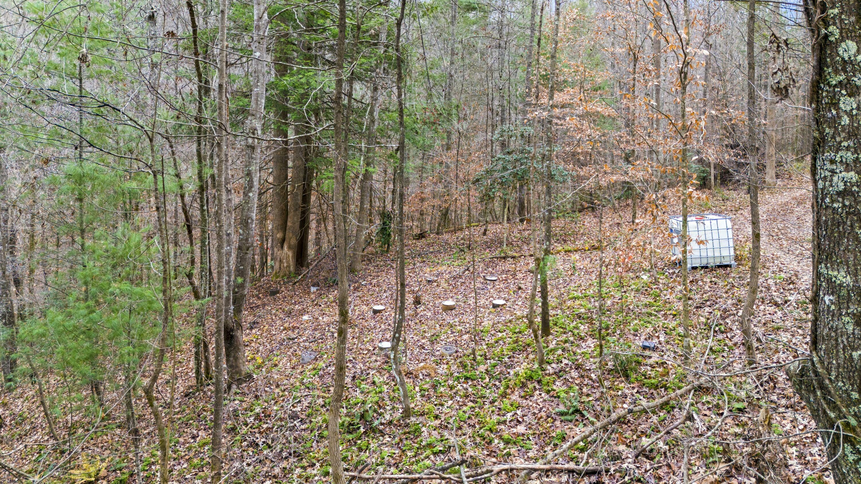 Property Photo:  Lot 21 Lacey Lane  KY 41301 