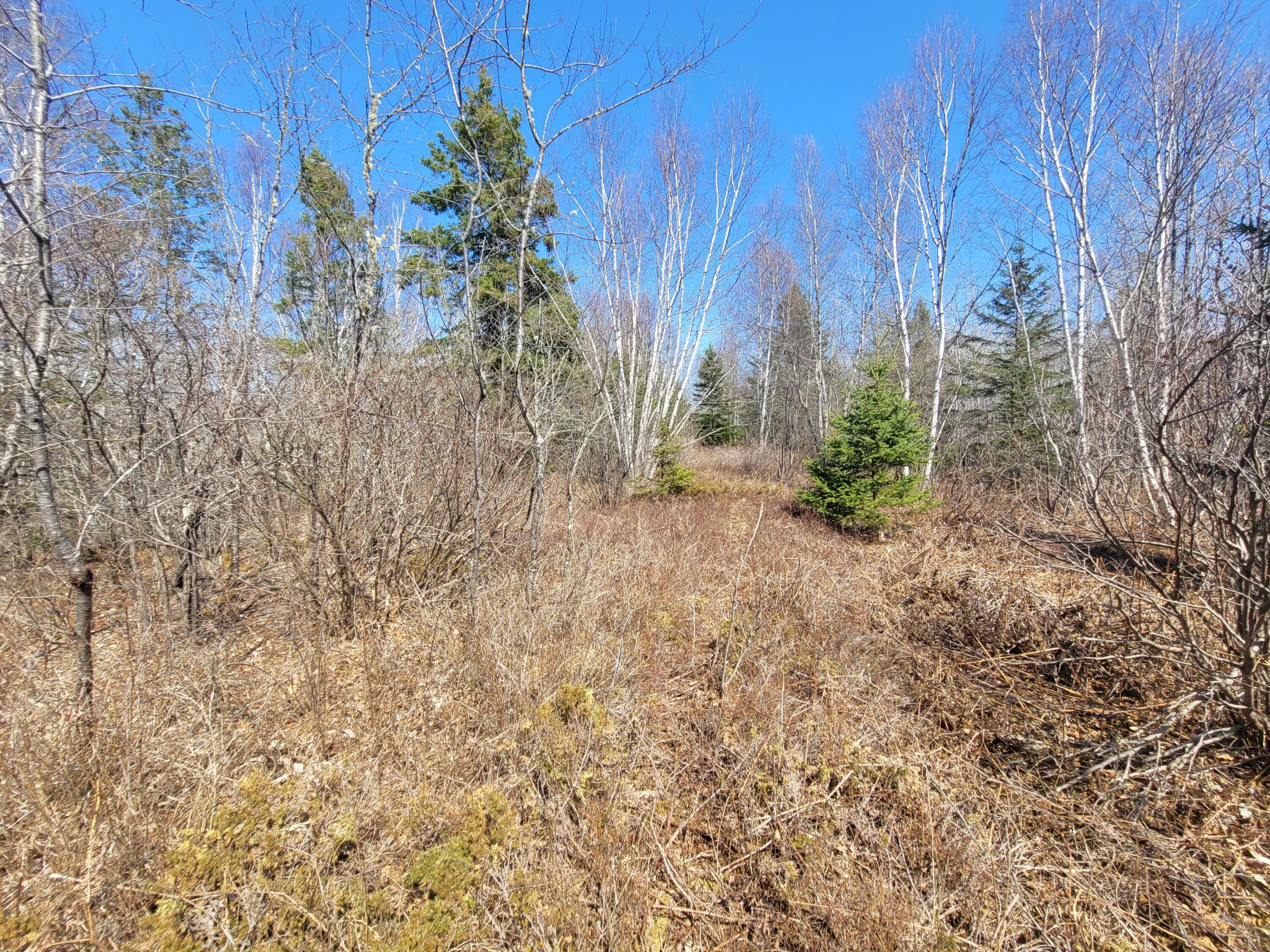 Property Photo:  29 Reef Point Road  ME 04606 