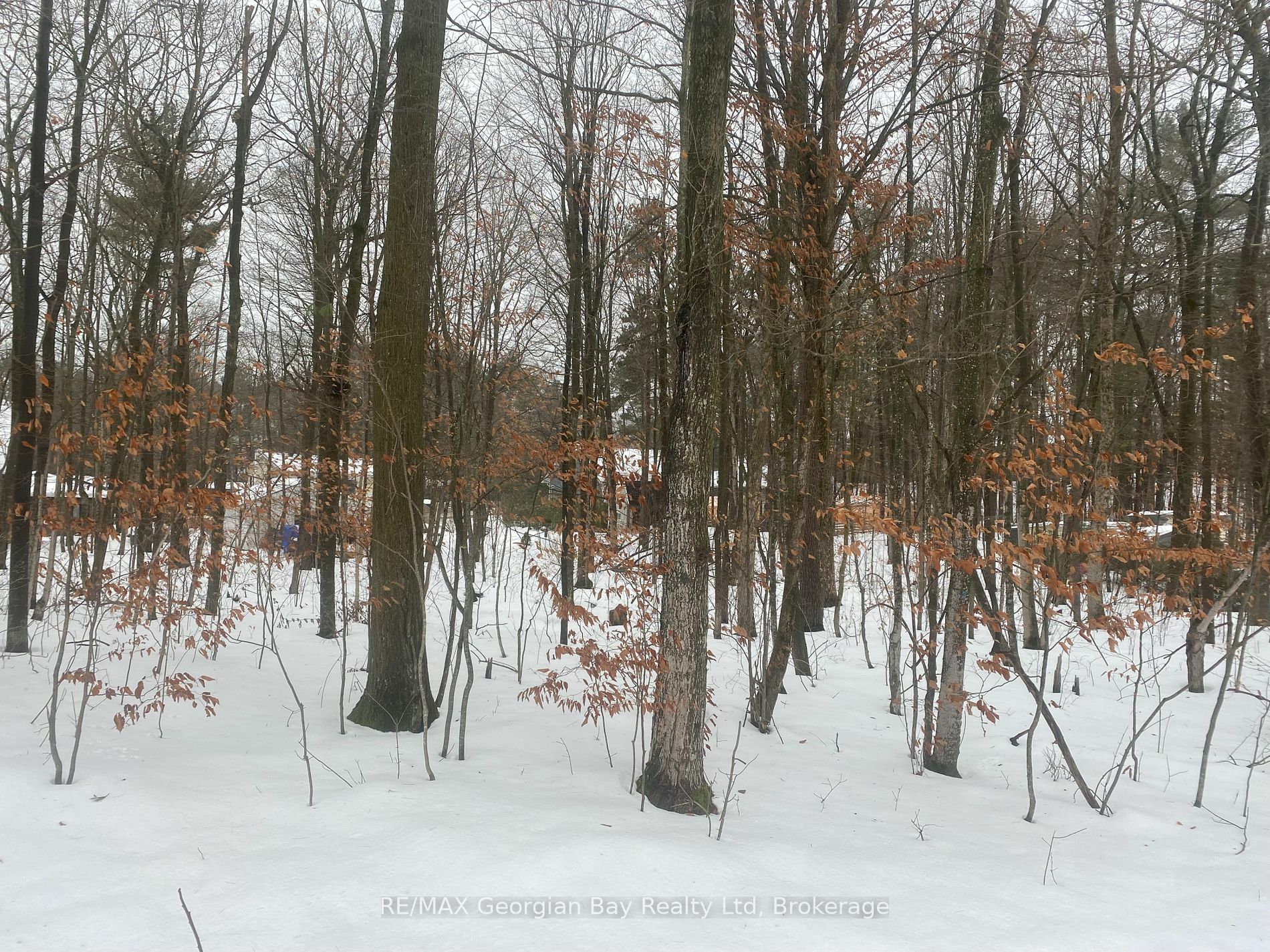 Photo de la propriété:  Lot 558 Forest Circ  ON L9M 0H7 