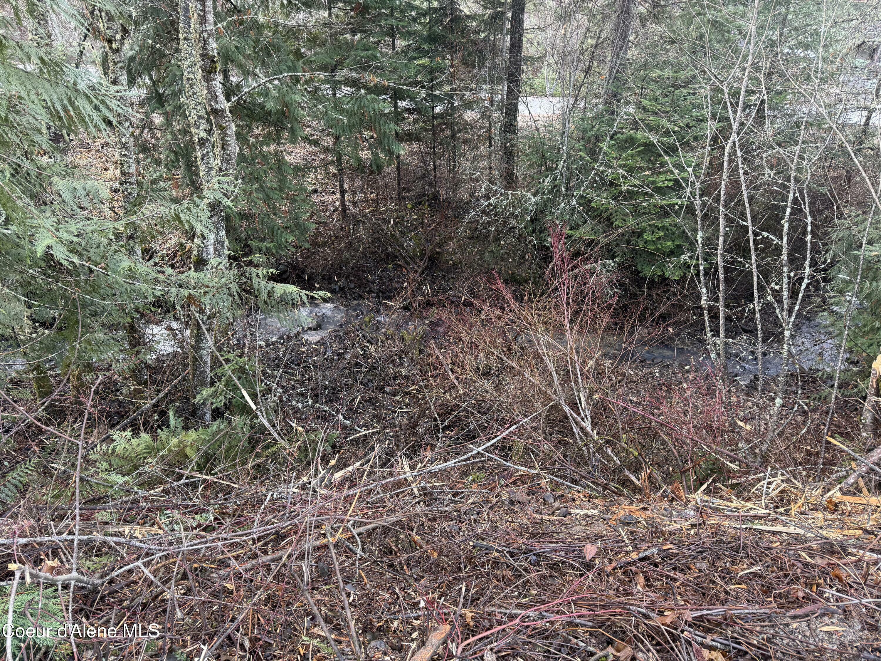 Property Photo:  Lot 5 Flying Eagle Dr  ID 83833 