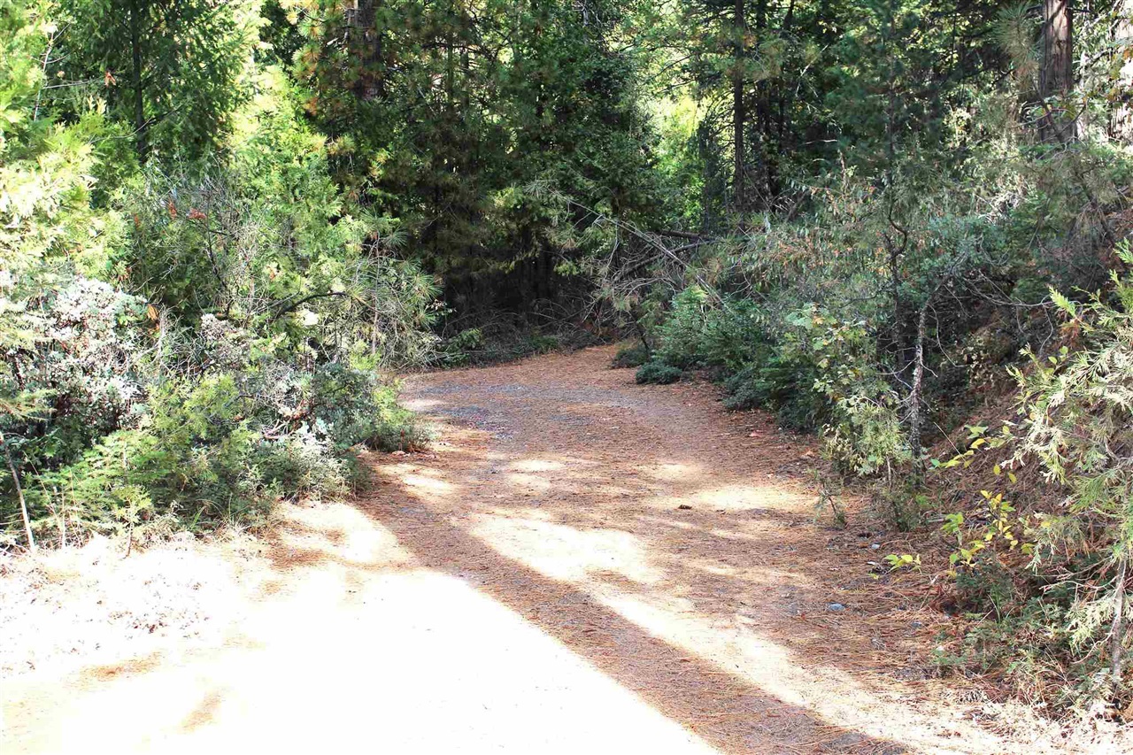 Property Photo:  24455 South Fork  CA 95383 