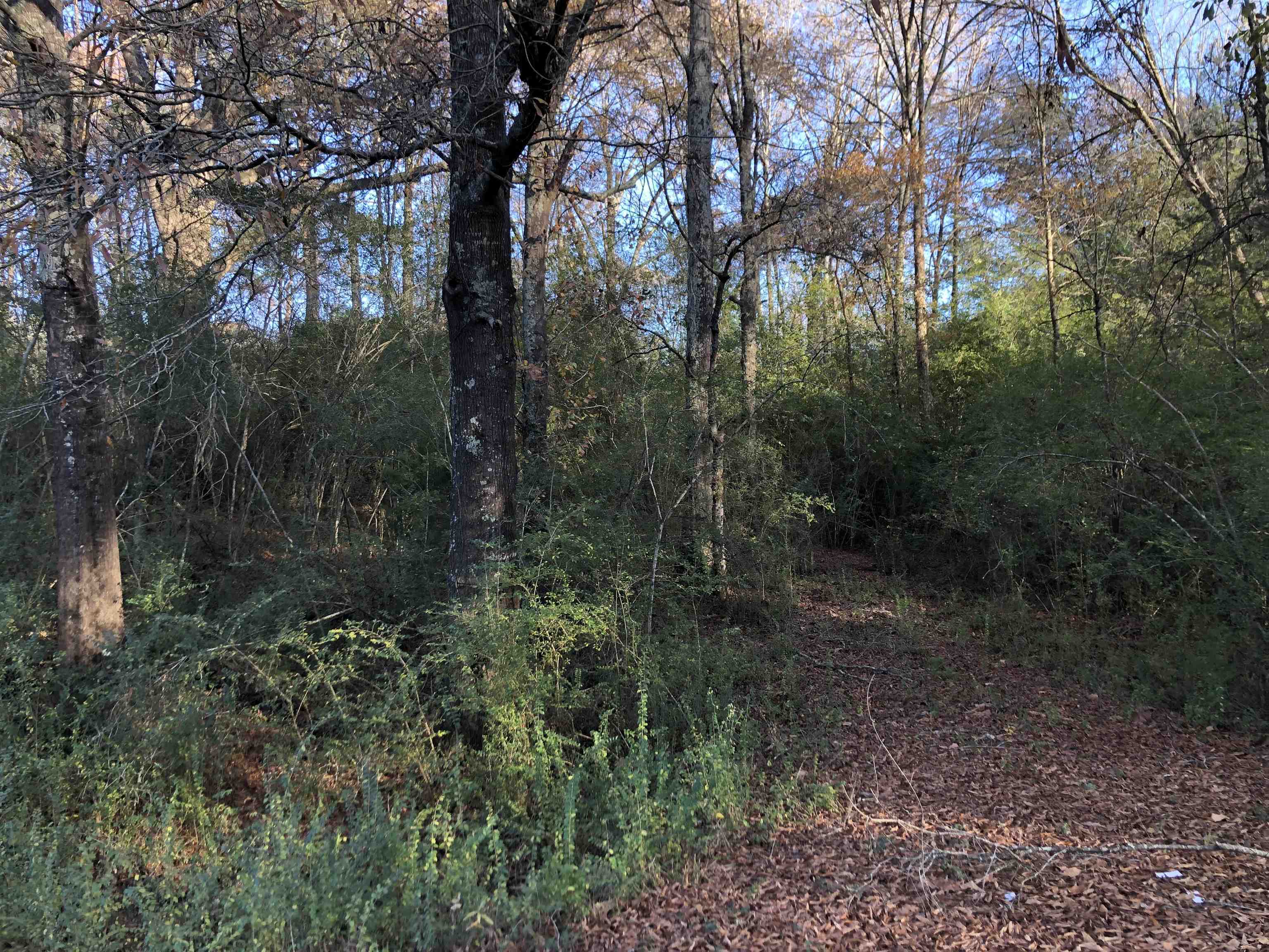 Property Photo:  0 Monticello Road  GA 31024 