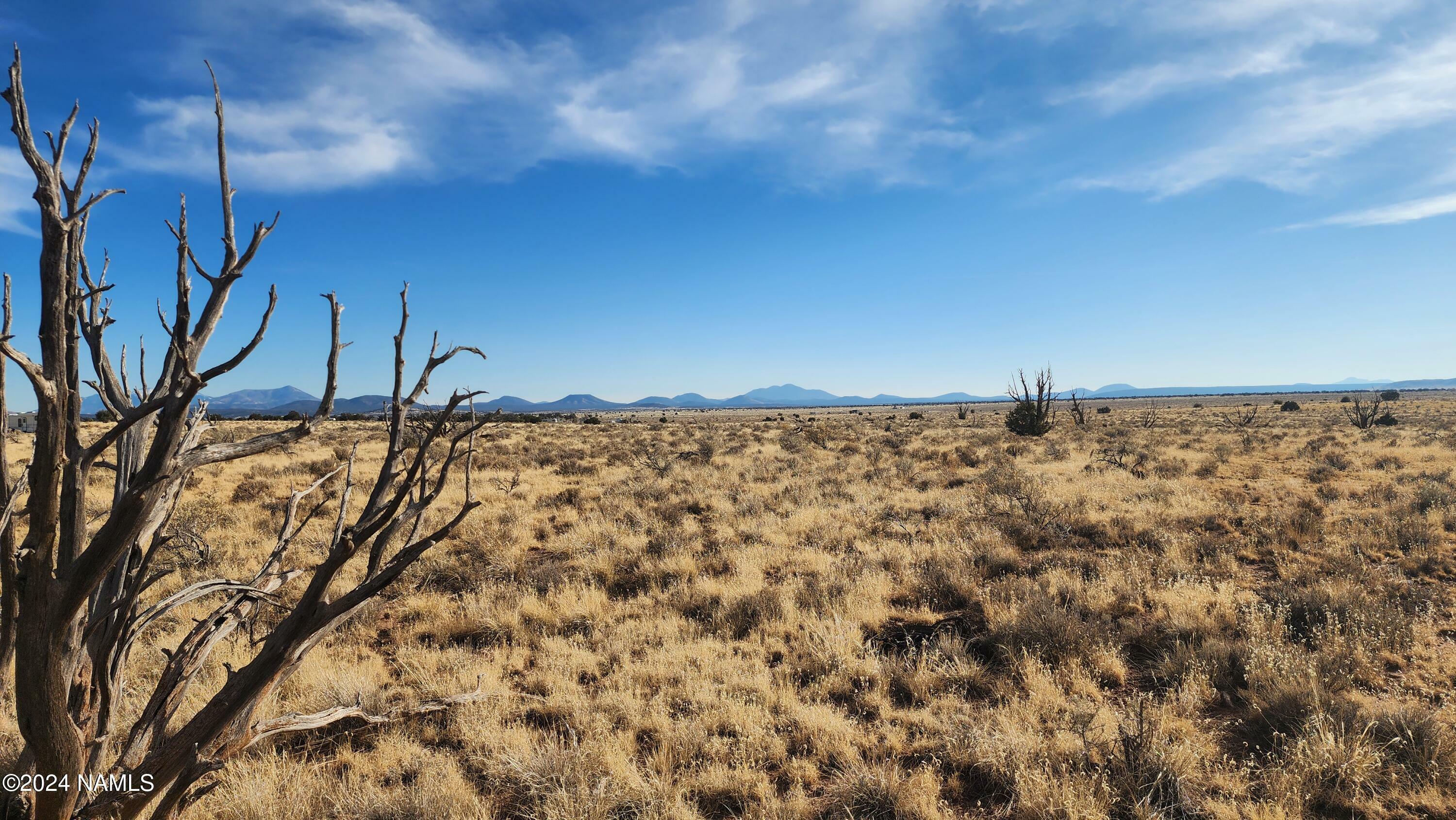 Property Photo:  3067 S Dartmouth Street  AZ 86046 