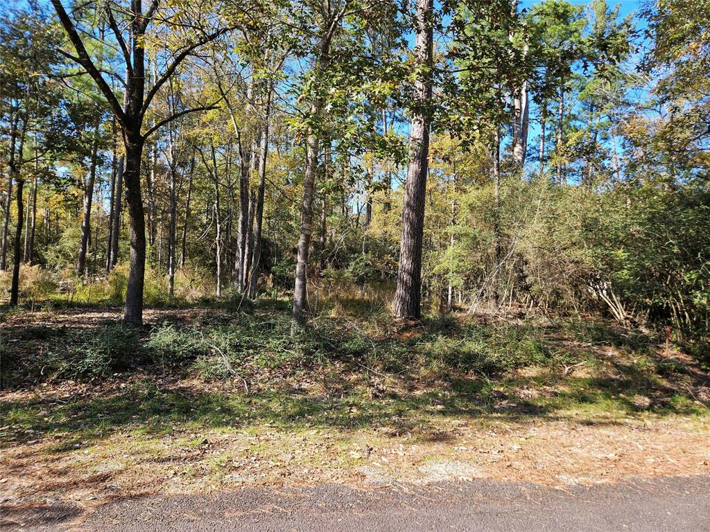 Property Photo:  117 Deep Springs  TX 75862 