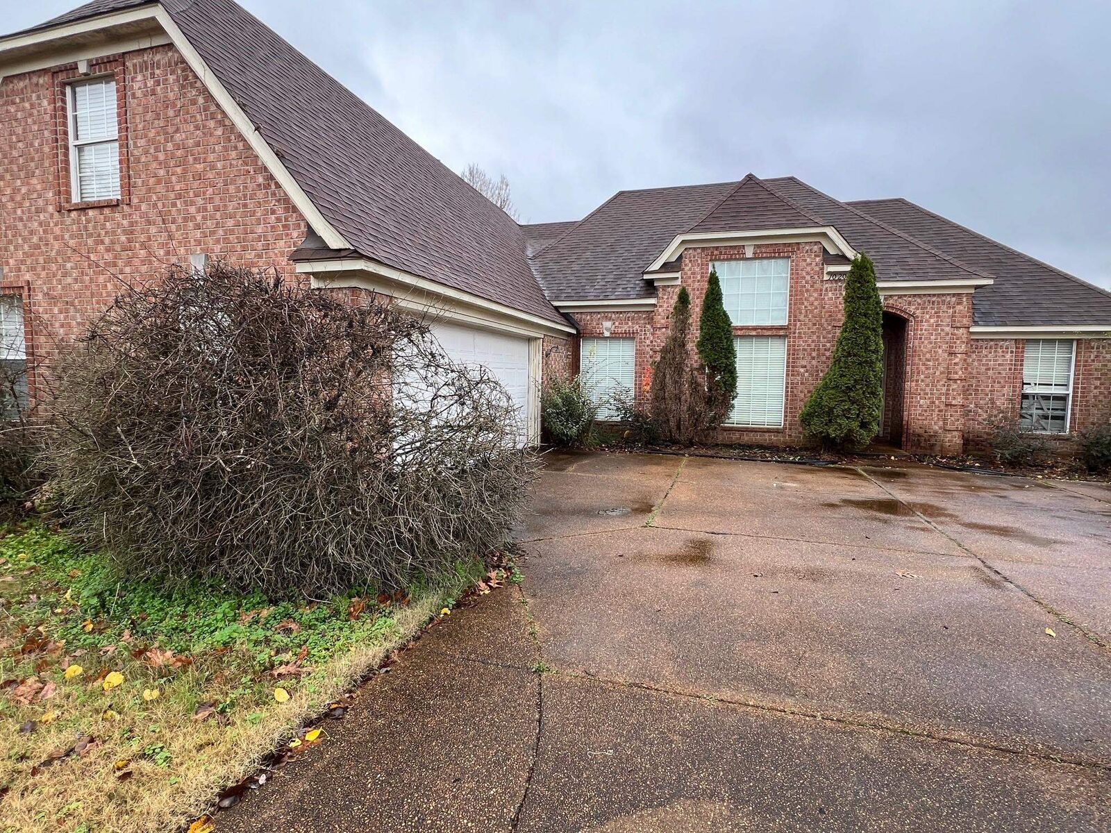 Property Photo: 10209 N Green Moss Dr TN 38018