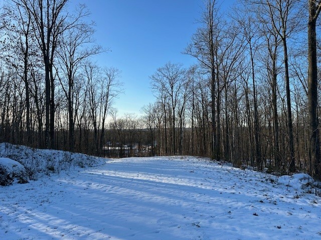 Property Photo: Lot 12 Birken Trail Road WI 54843