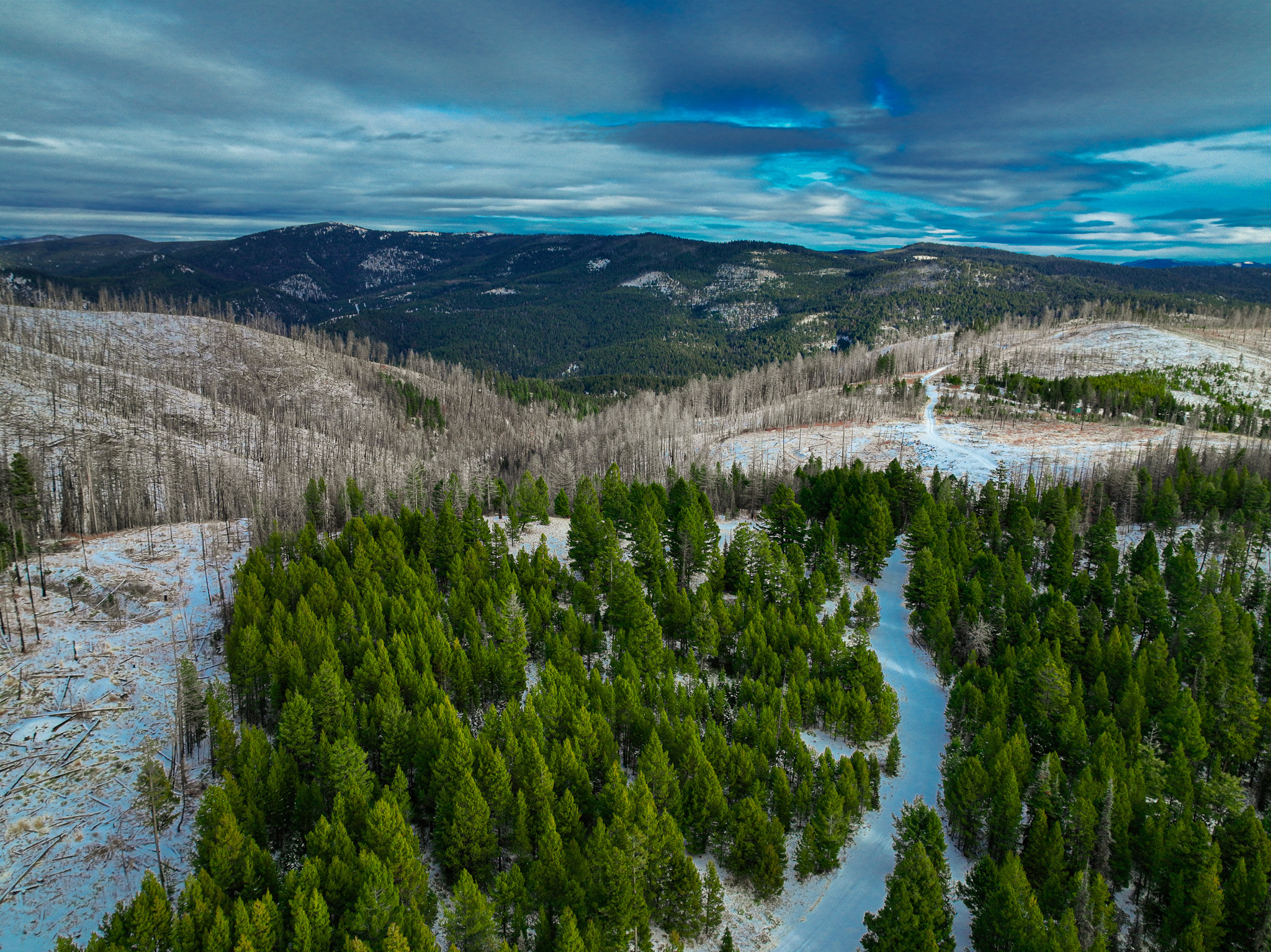 Property Photo:  Nhn (Grotto) Cave Gulch Road  MT 59832 