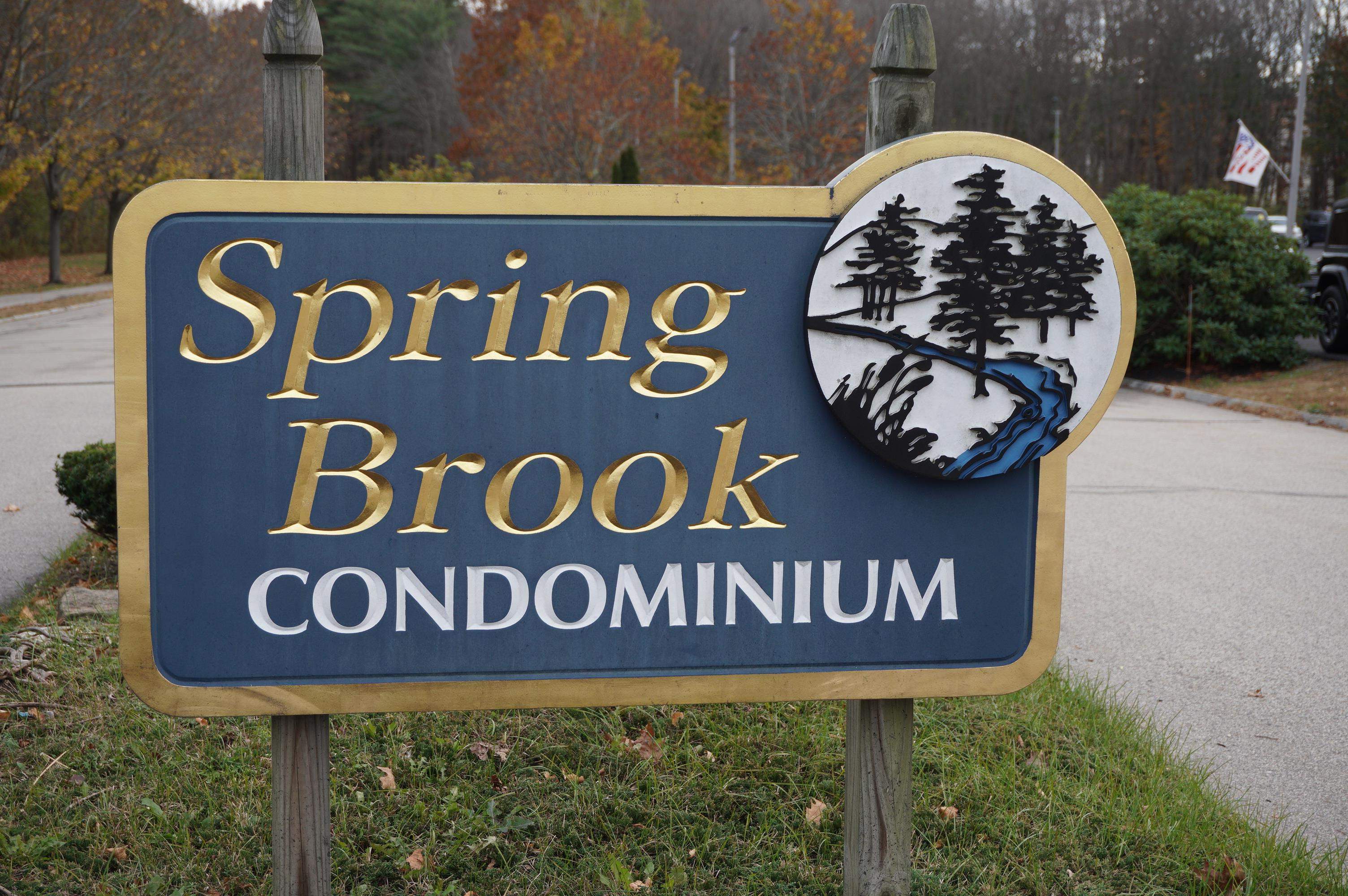 Property Photo: 707 Springbrook Circle NH 03801