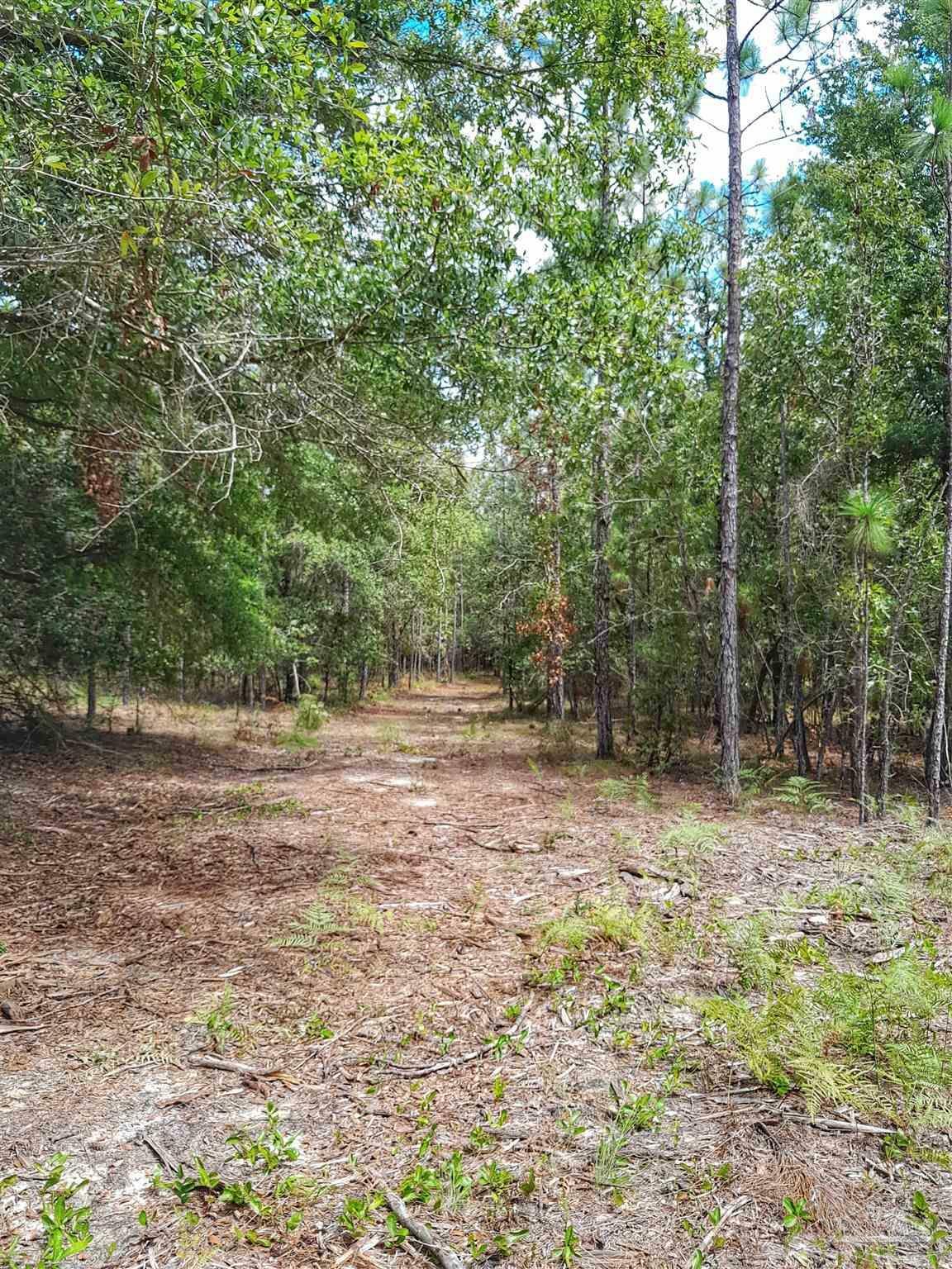Property Photo:  Parcel B-2 Wildlife Rd  FL 32564 