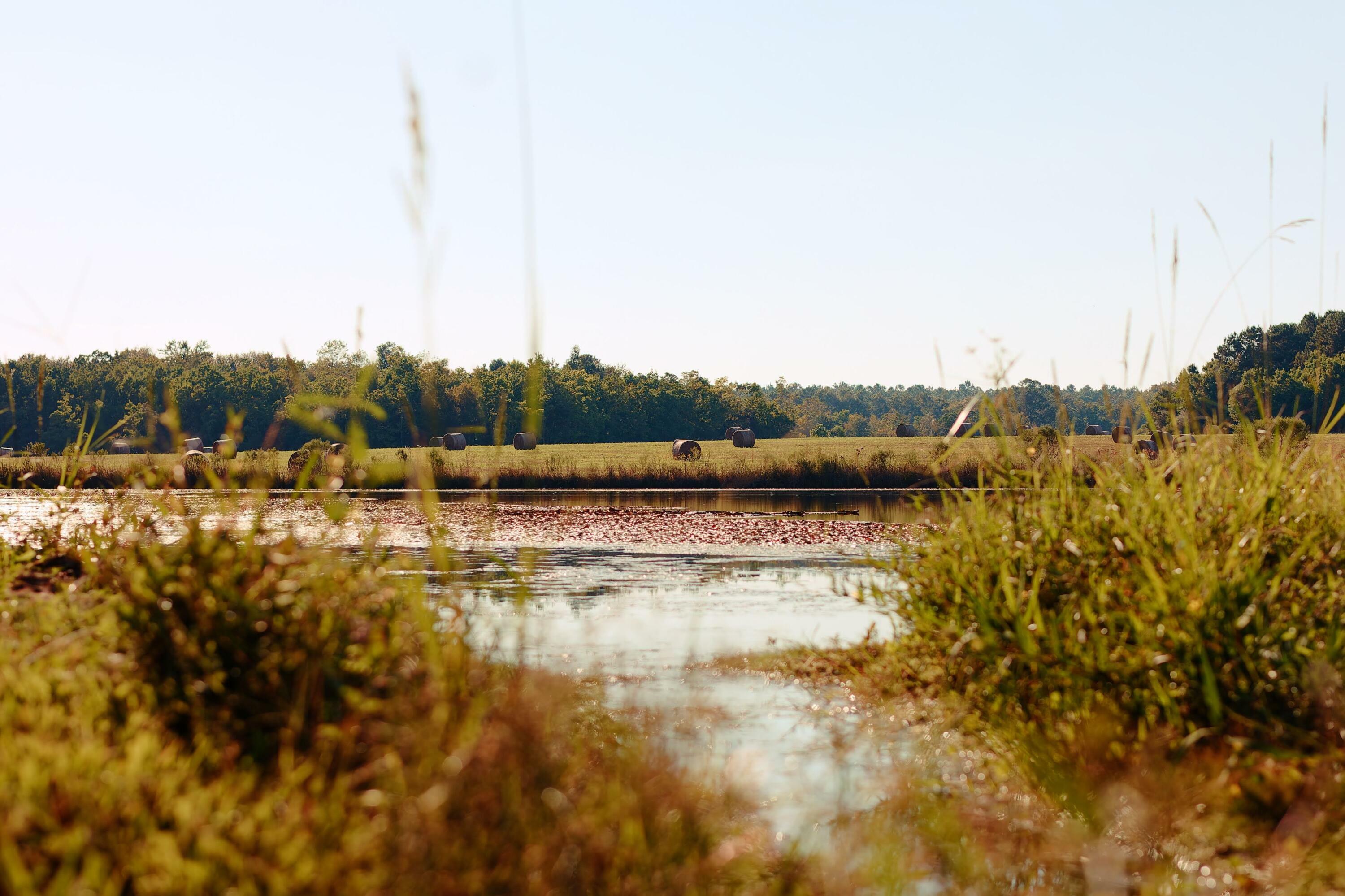 Property Photo: 1956 L G Russell Road FL 32531