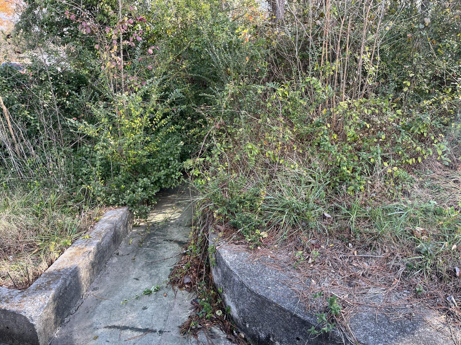 Property Photo: 0 Linda Lane GA 30741