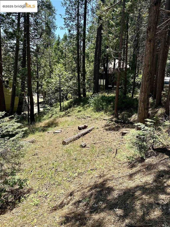 Property Photo: 25391 Rebekah Rd CA 95335