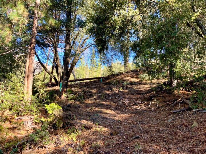 Property Photo:  50963 Chu Ranch Road  CA 93644 