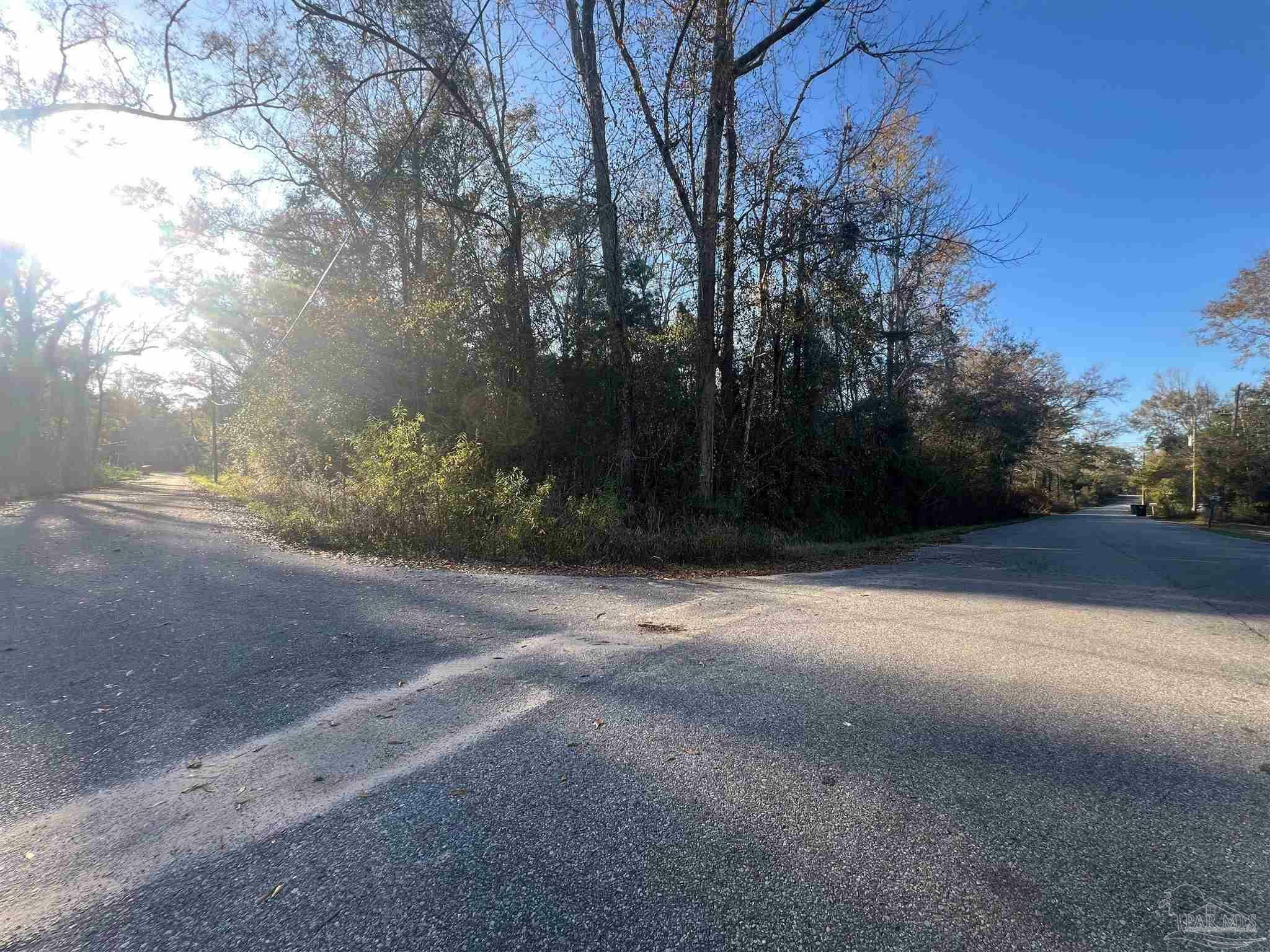 Property Photo:  Brickyard At Blake  FL 32577 