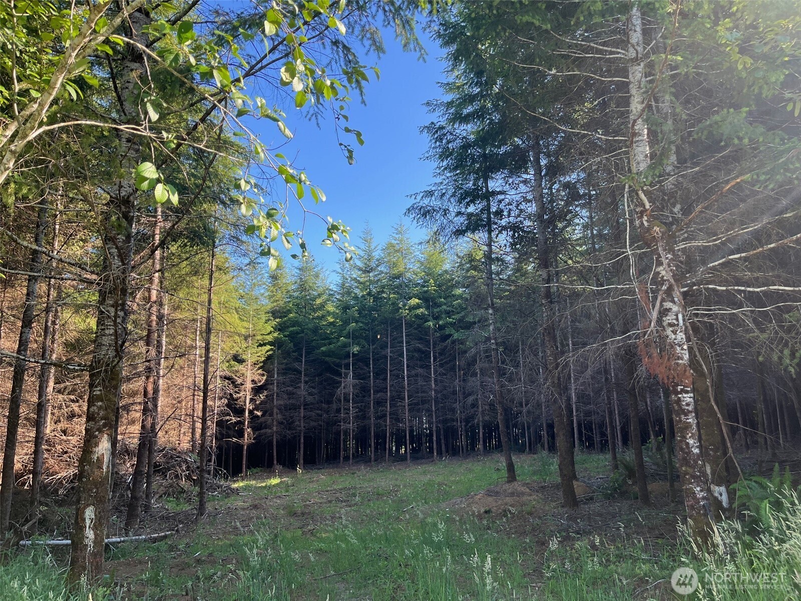 Property Photo:  7  Beaver Hill Lane  WA 98563 