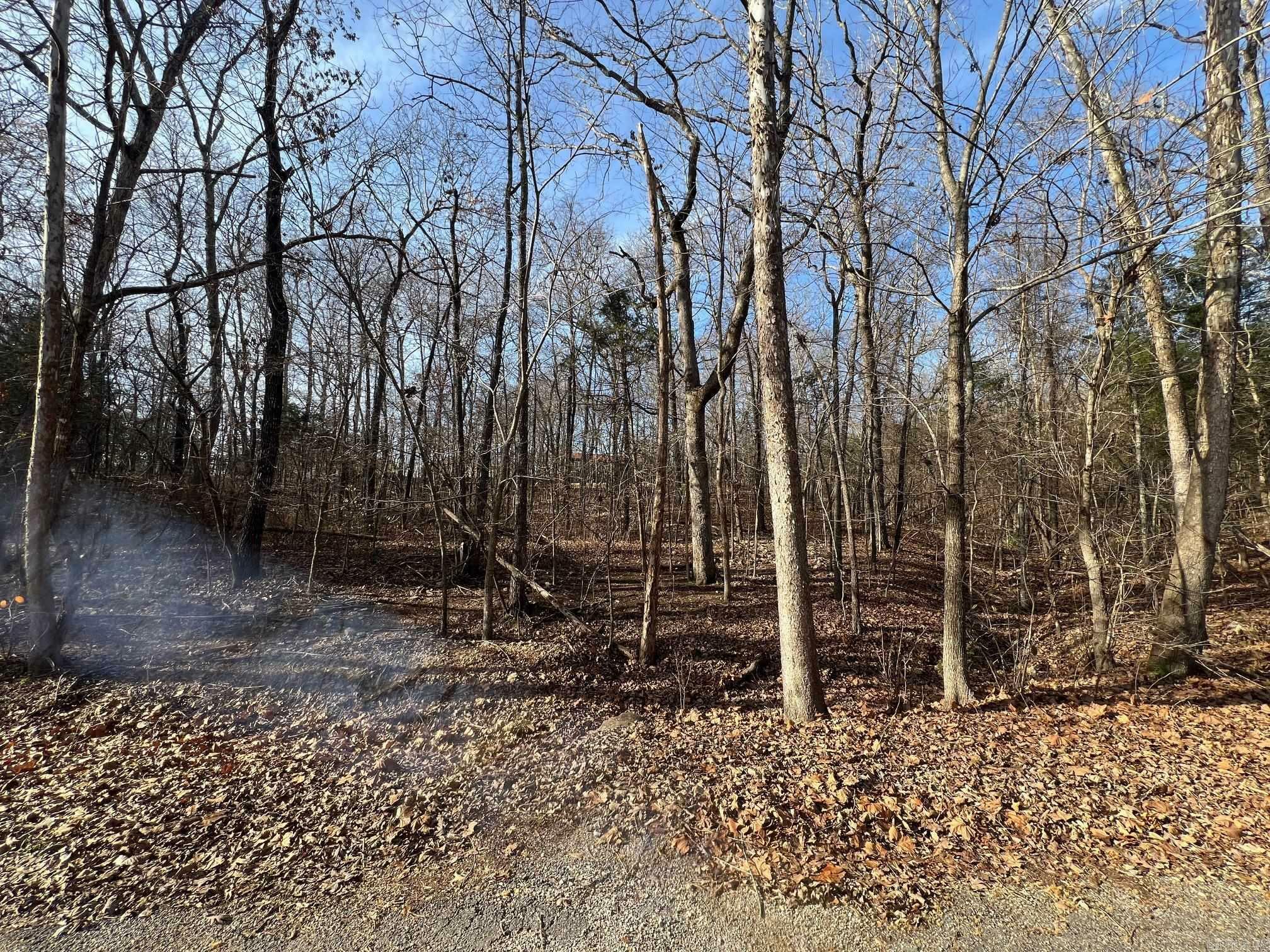 Property Photo:  Lot 9 Kewe Drive  AR 72549 