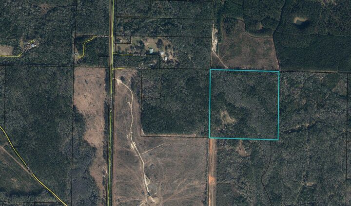 Property Photo: 75 Acres N Highway 81 FL 32455
