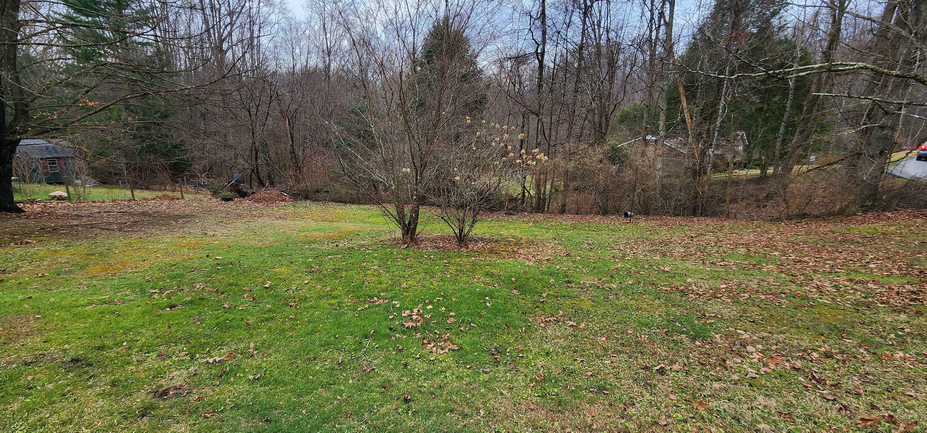 Property Photo:  200 Main St  WV 26651 