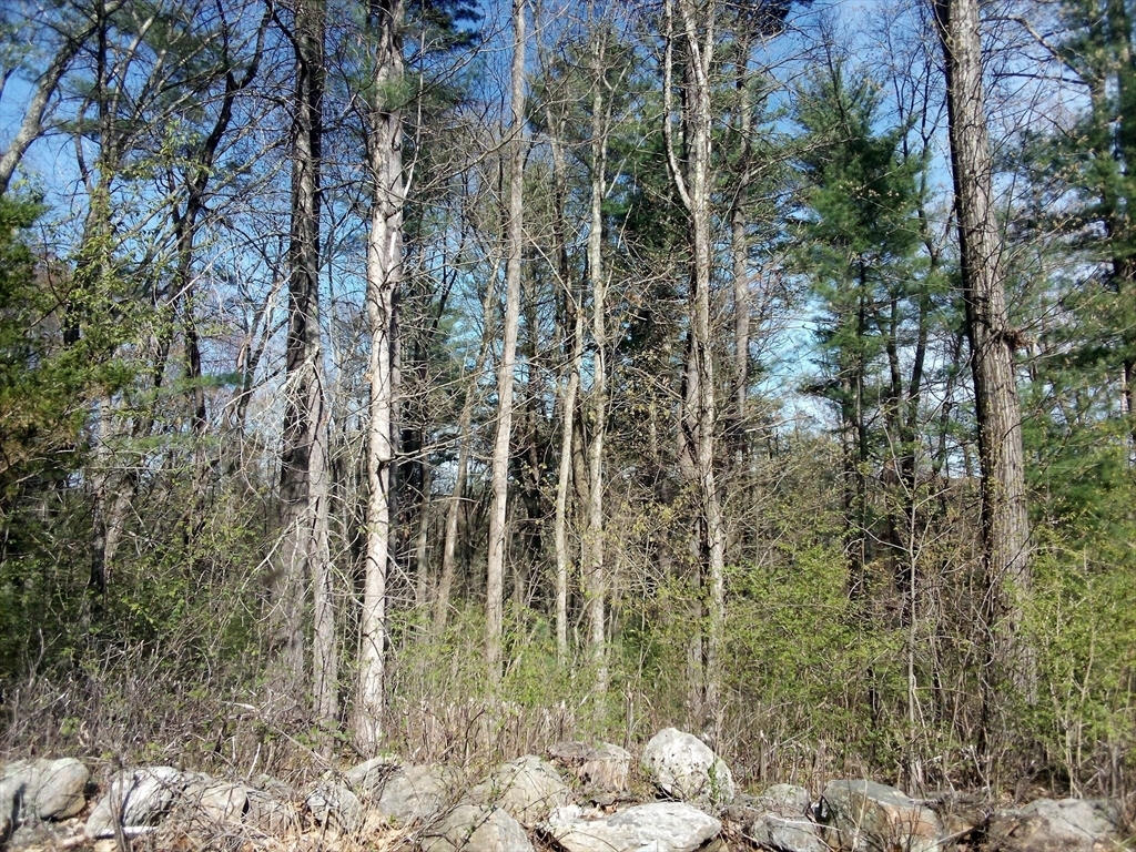 Property Photo: 234 Wickaboag MA 01585