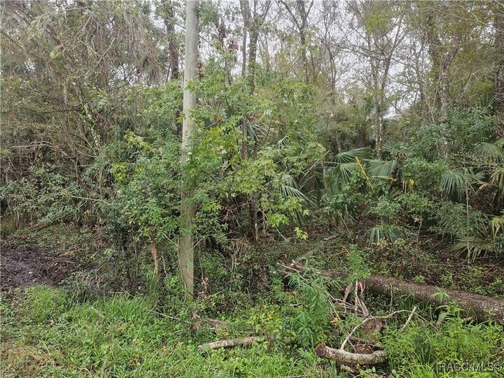 Property Photo:  11924 W Deodar Street  FL 34428 