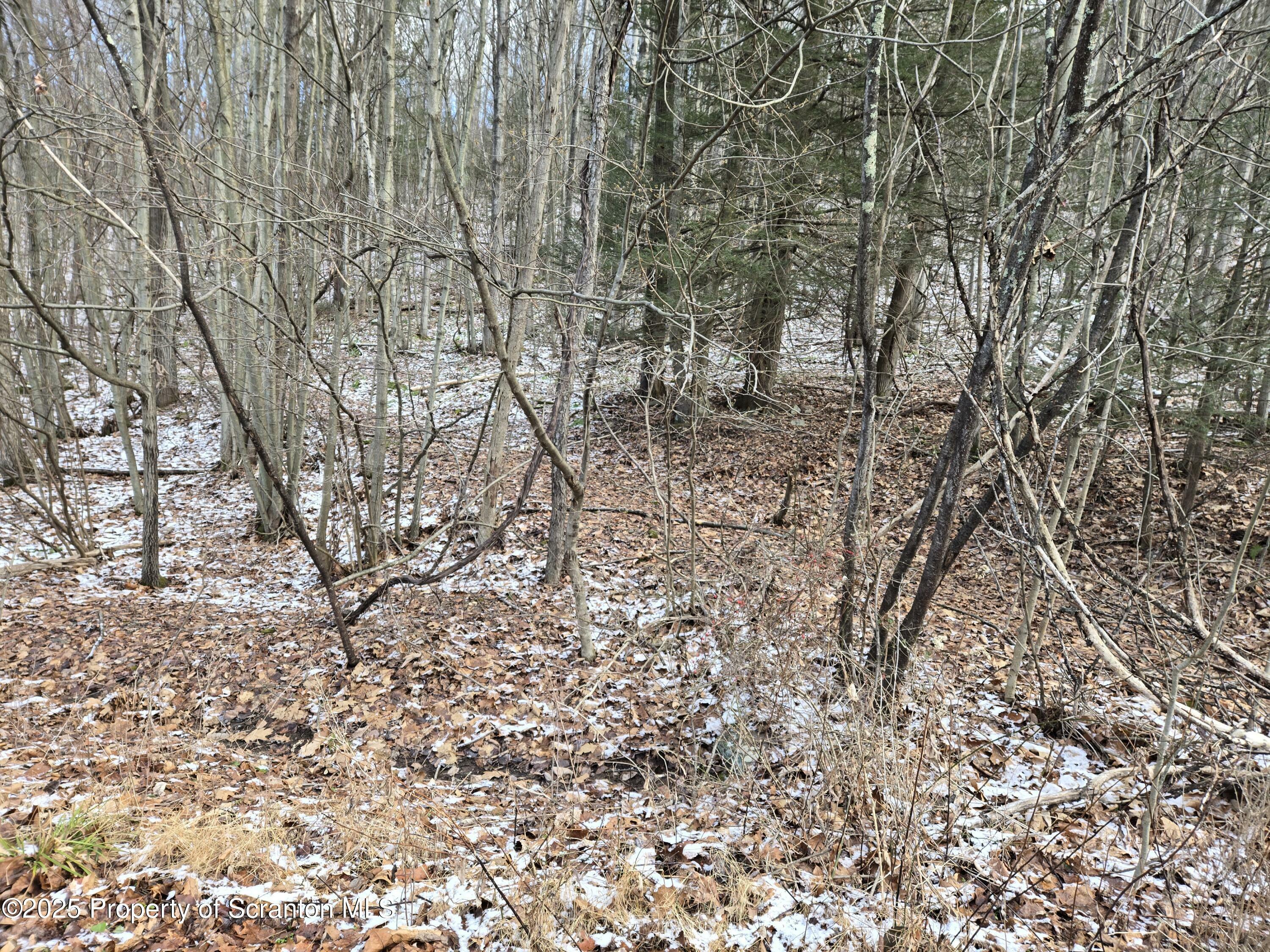 Property Photo:  L77 Eastwoods Road  PA 18657 