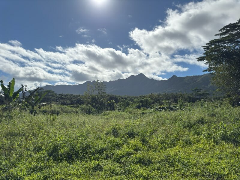 Property Photo:  Kahiliholo Rd  HI 96754 