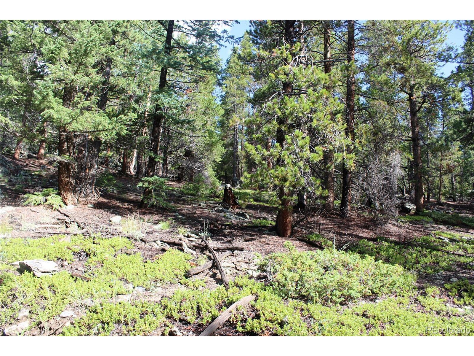 Property Photo: 740 Rangeview Ct CO 80422