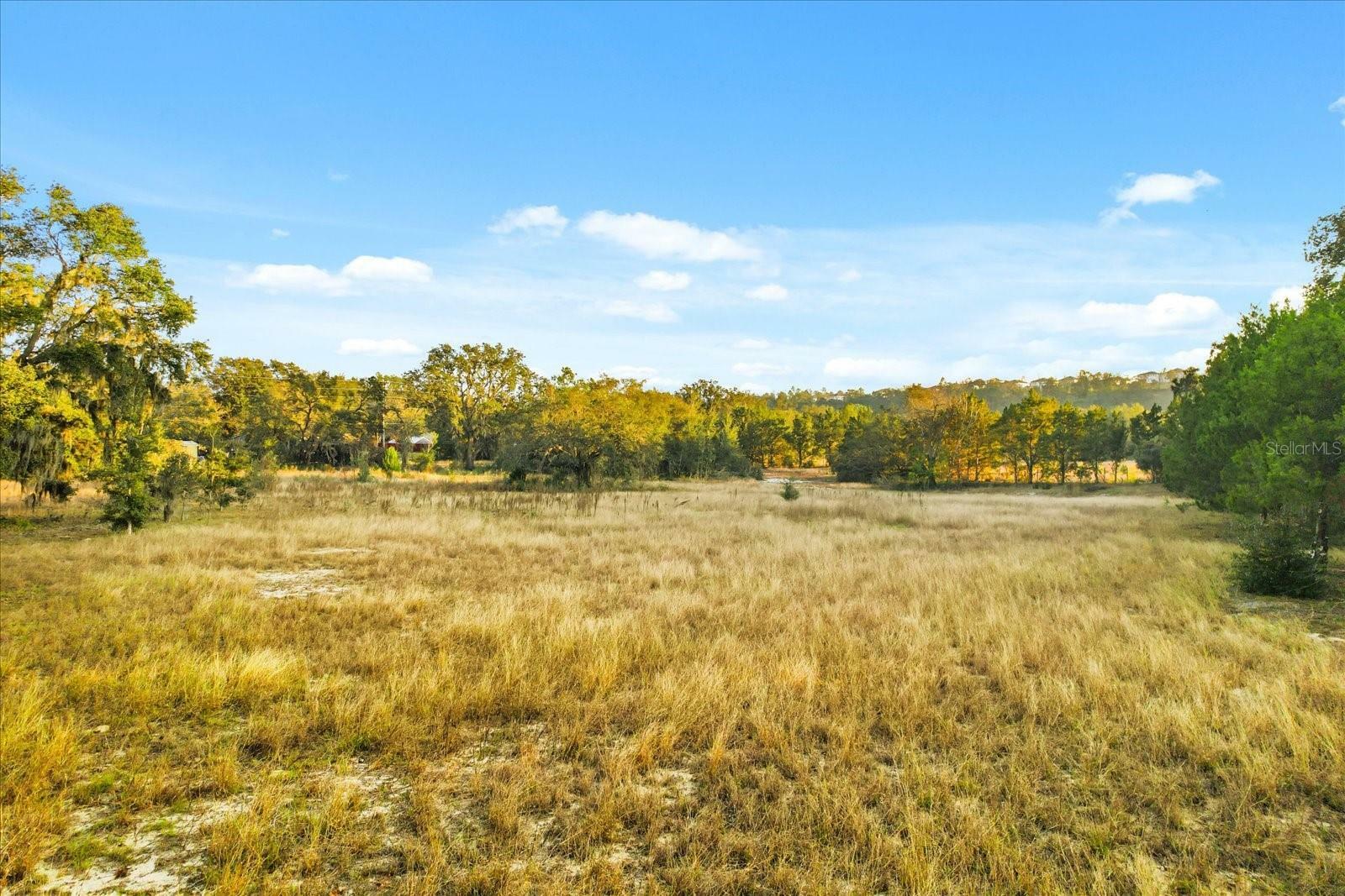 Property Photo: 14320 County Road 561A FL 34715