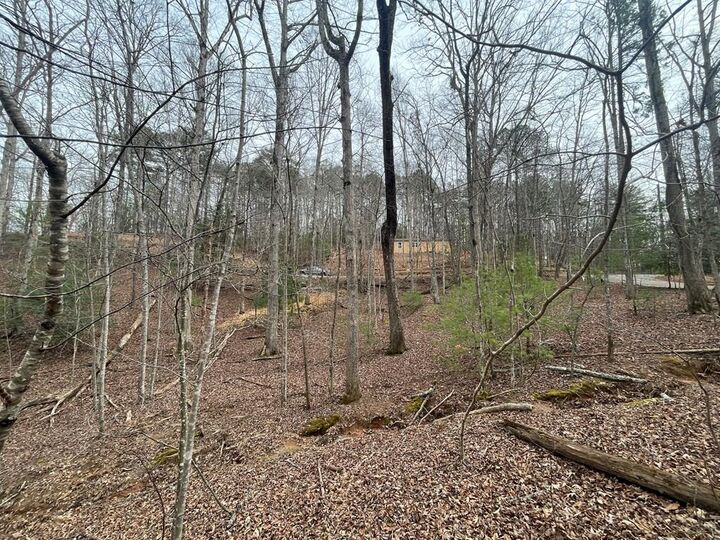 Lot 618 Charity Court  Ellijay GA 30540 photo