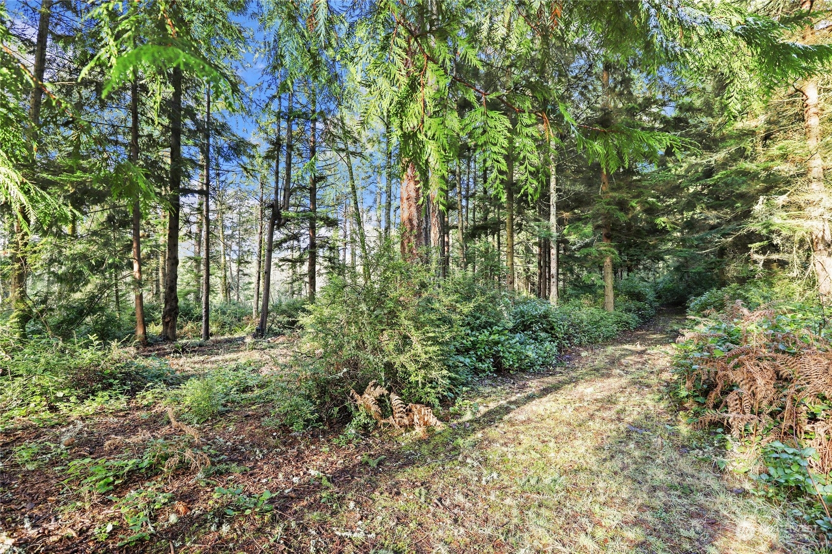 Property Photo:  2625  Dreamland Lane  WA 98260 