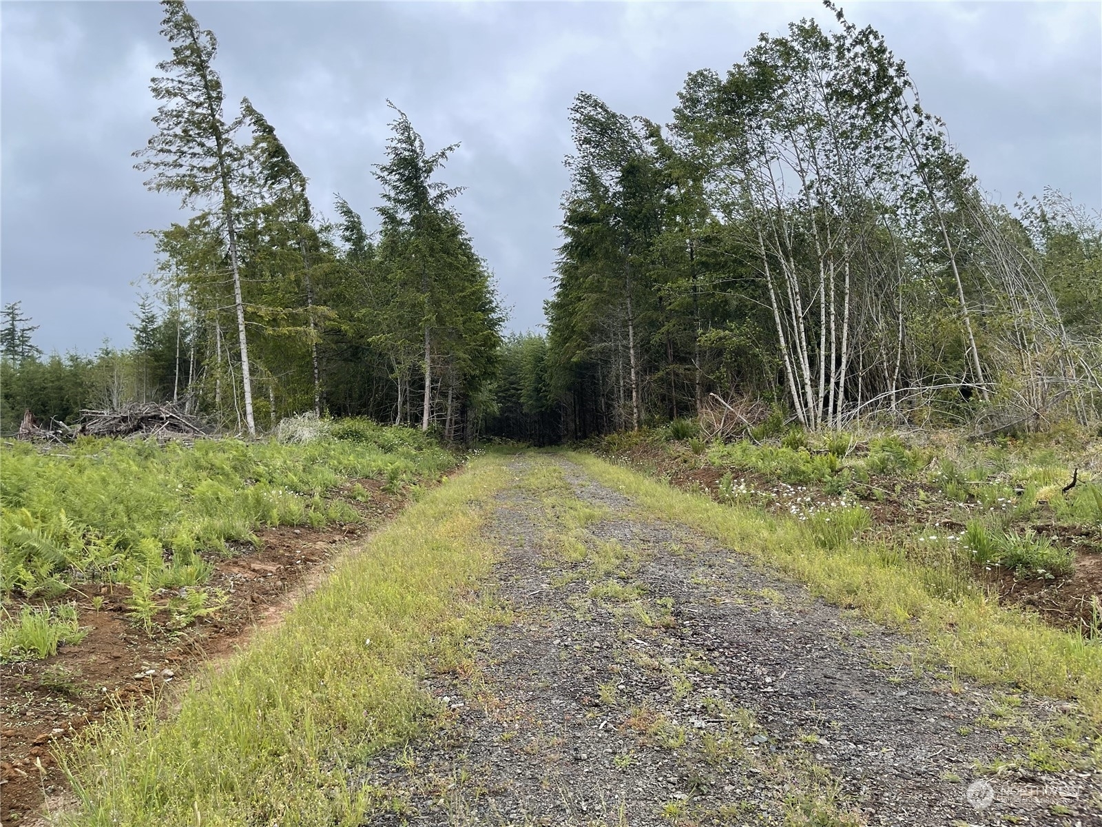 Property Photo:  3 Xx  Centralia Alpha Road  WA 98570 