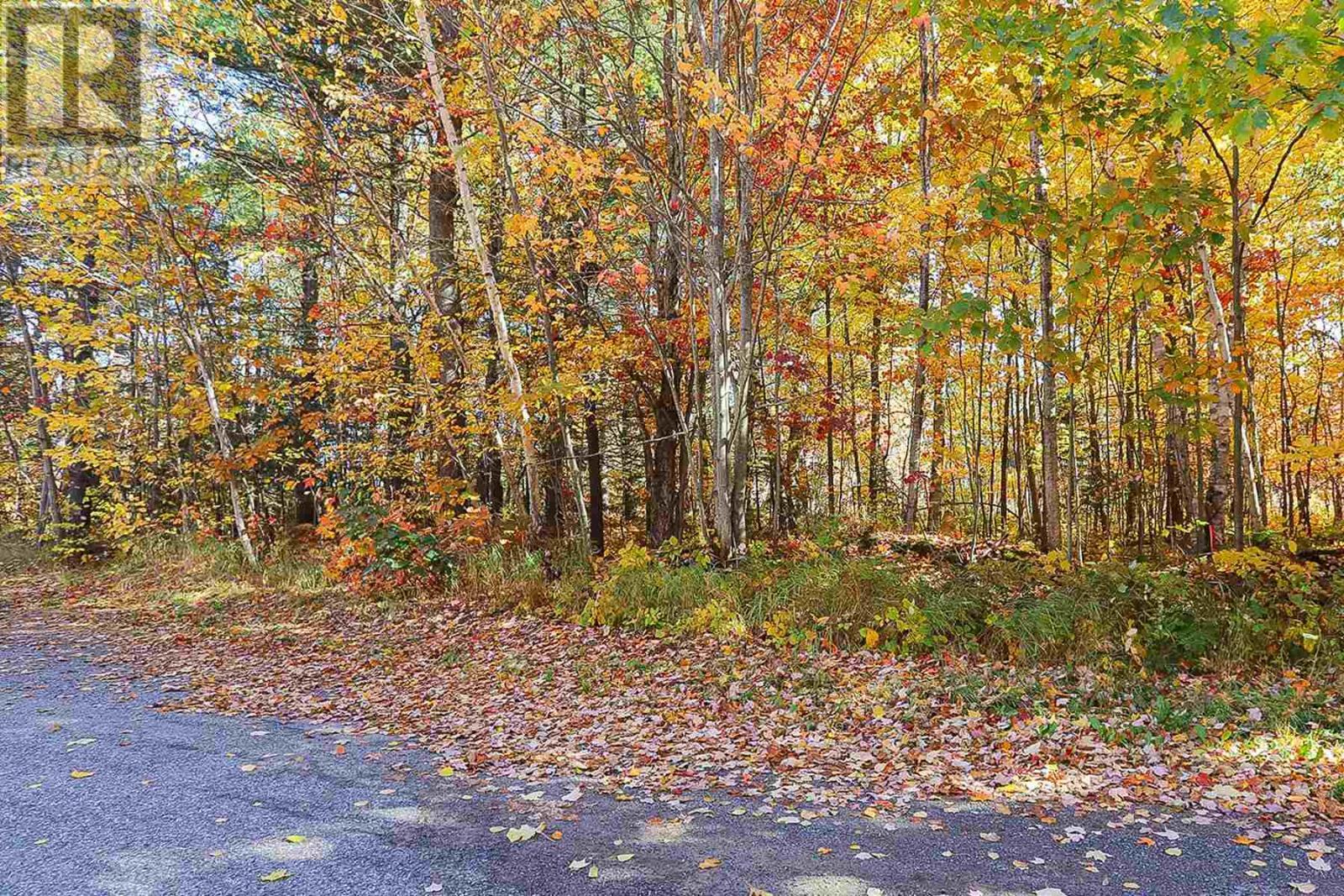 Property Photo:  Lot 14&15 Nokomis Beach Rd  ON P6A 5K6 