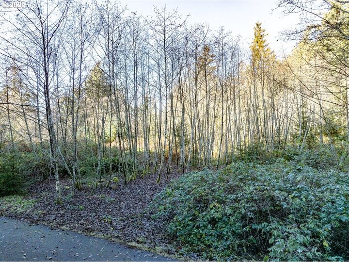 Bay View Rd  Nehalem OR 97131 photo