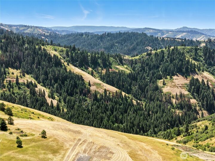 0  Seaman Road  Dixie WA 99329 photo