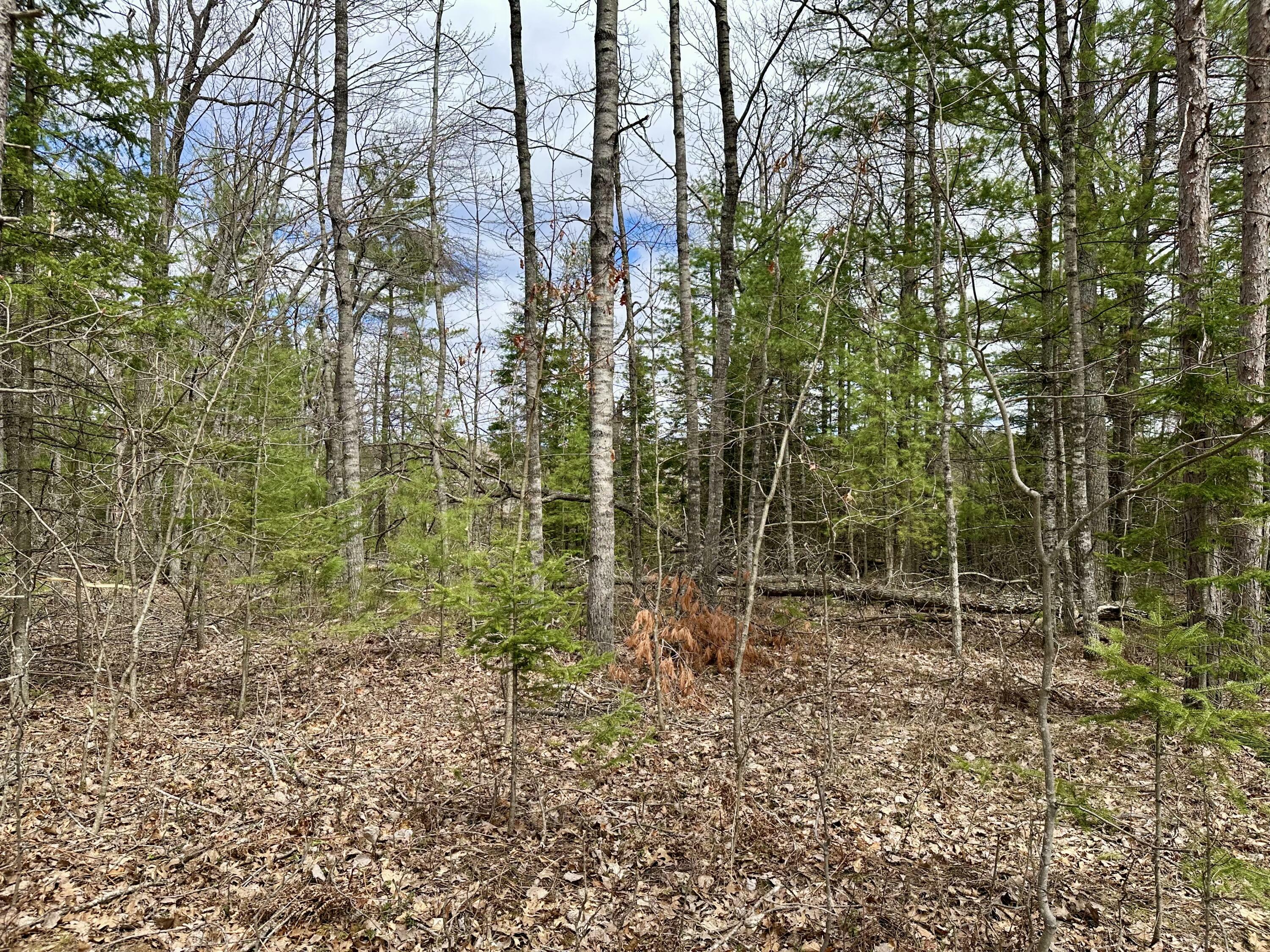 4409 Big Sky Trail  Indian River MI 49749 photo