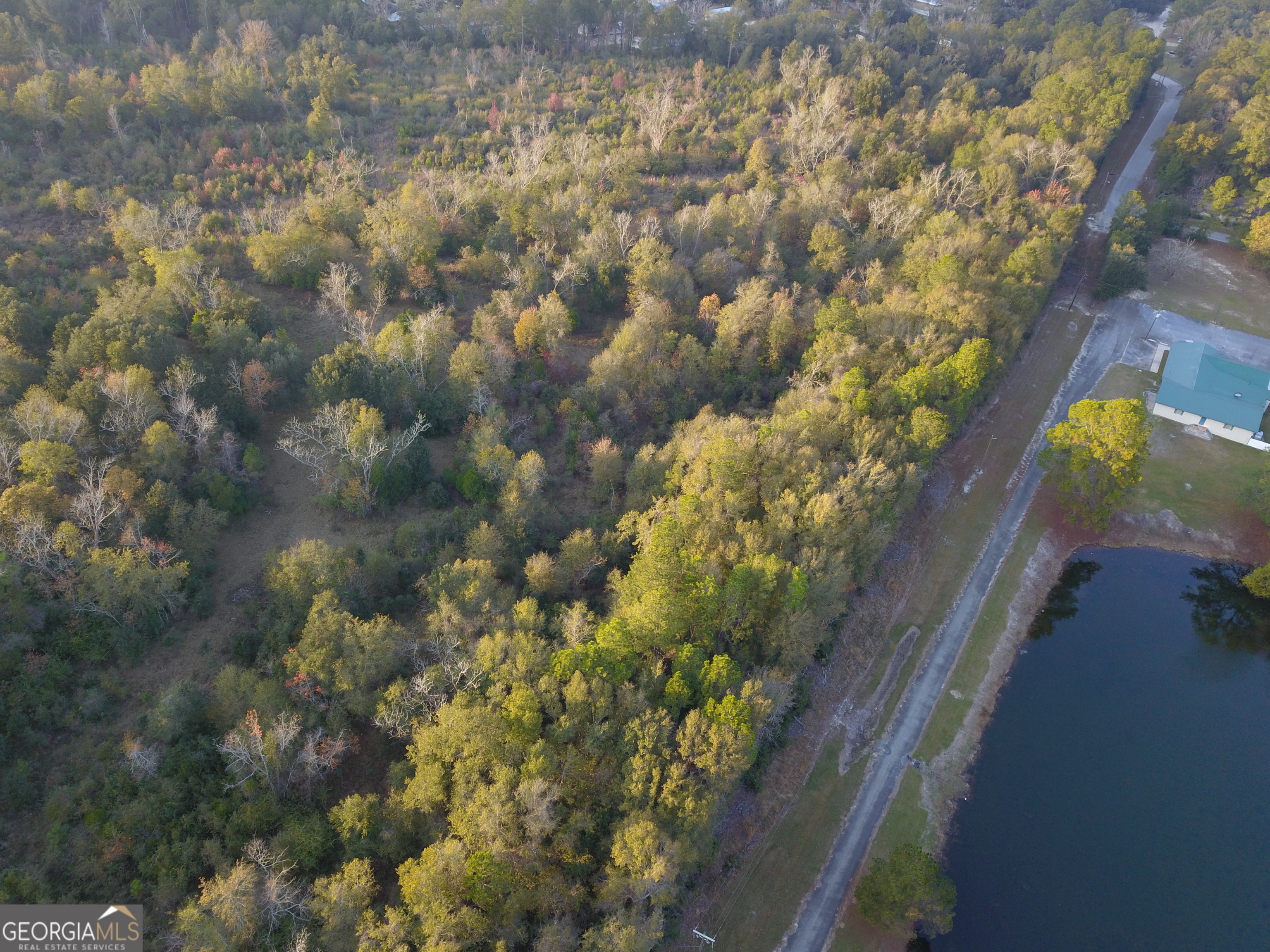 Property Photo:  0 Highway 301 N  GA 30461 