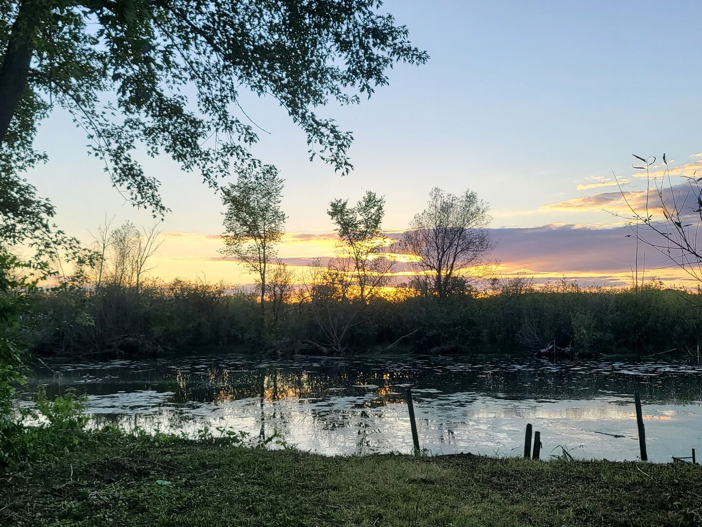 Property Photo:  42624 N Poplar Street  IL 60002 