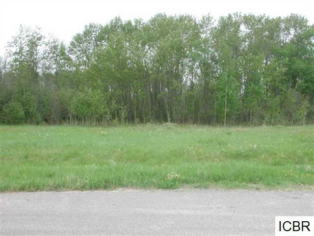 Property Photo: Lt 3 Blk 3 Aspen Dr MN 56636