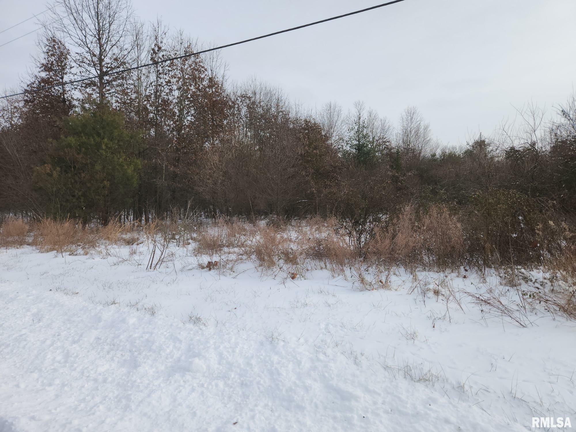 Property Photo:  Lot 5 E Hutchison Road  IL 62864 