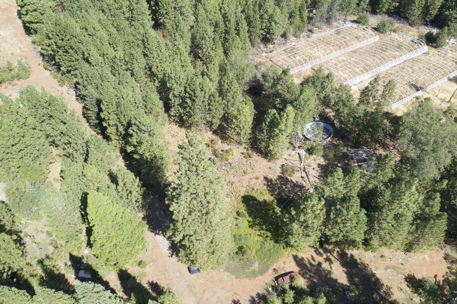 Property Photo:  18655 Seclusion Drive  CA 96065 