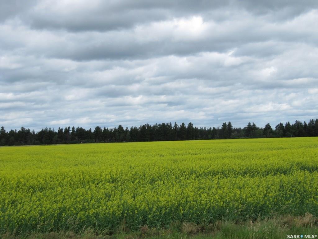 Rural Address  Nipawin Rm No. 487 SK S0E 1E0 photo