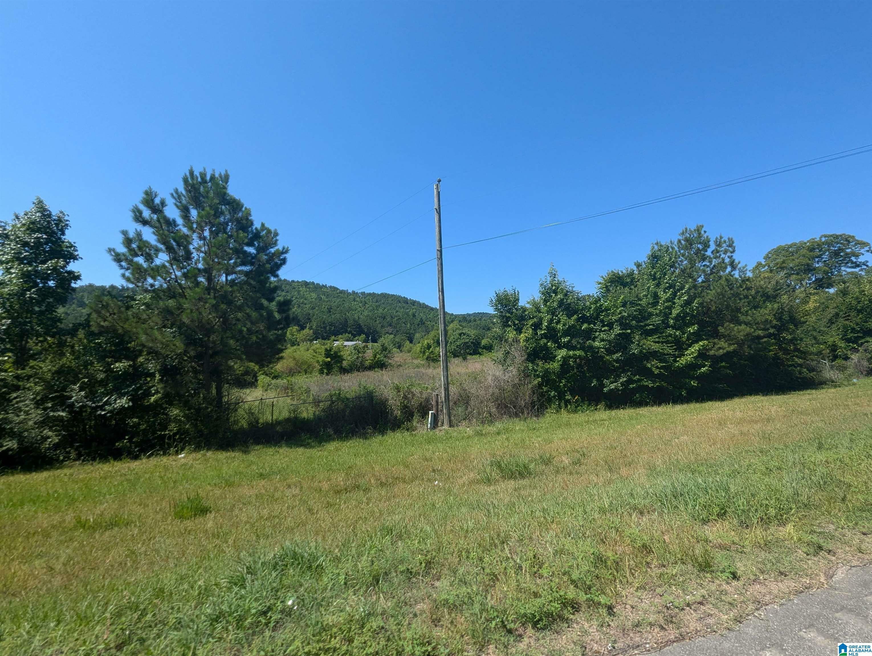 Property Photo:  7225 Highway 278 2.020  AL 36272 