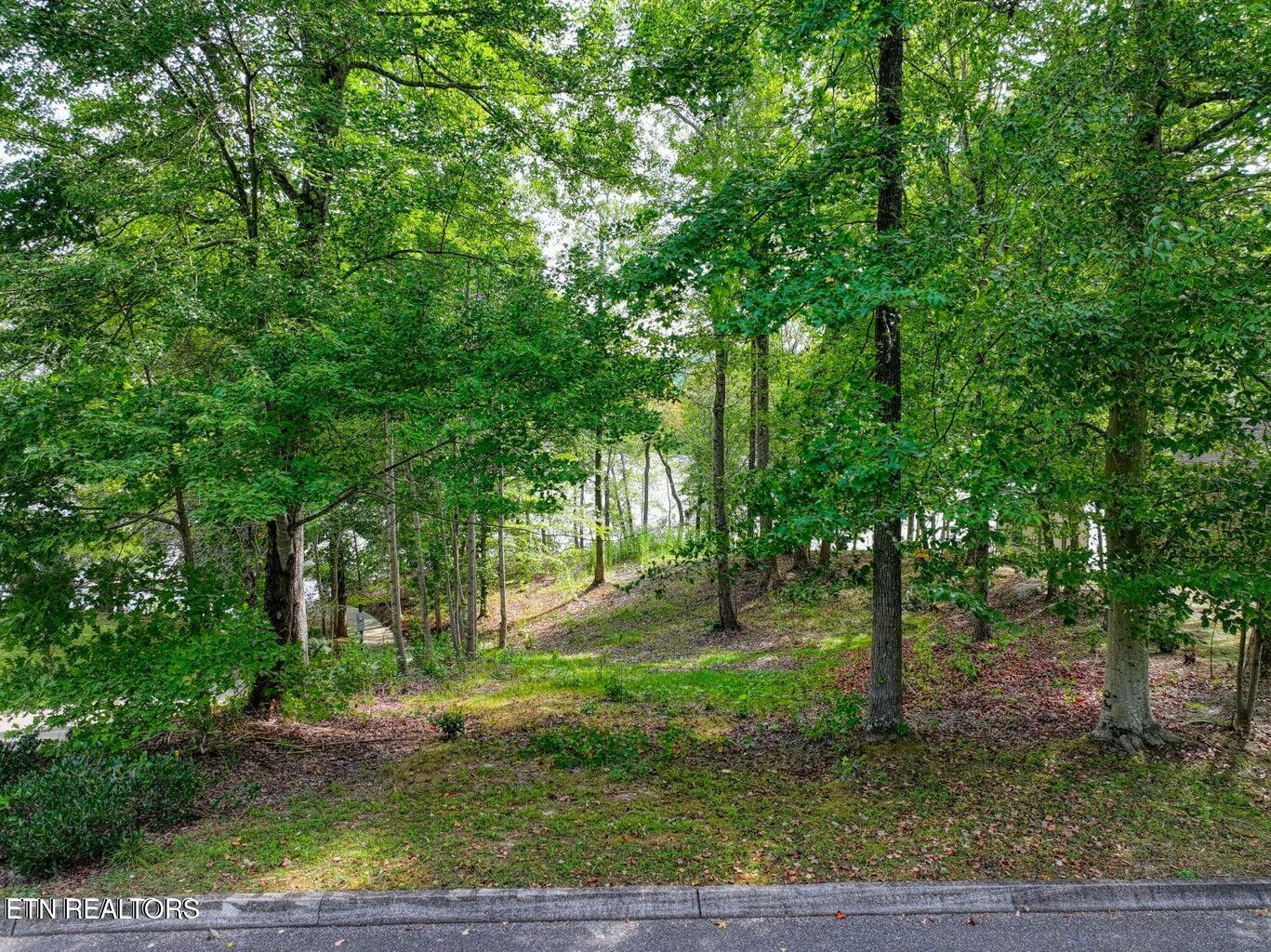 Property Photo:  117 Osprey Way  TN 37748 