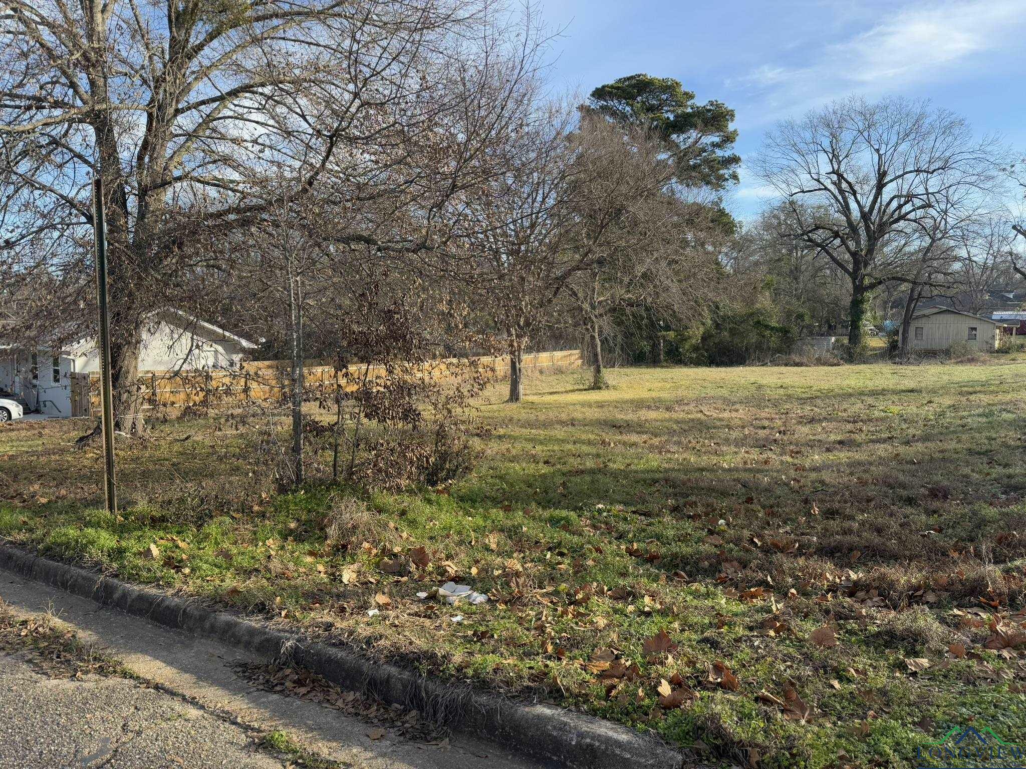 Property Photo:  816 Warren Street  TX 75644 