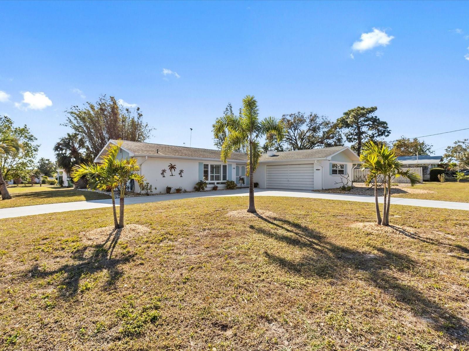 240 Timberlane Drive  Palm Harbor FL 34683 photo