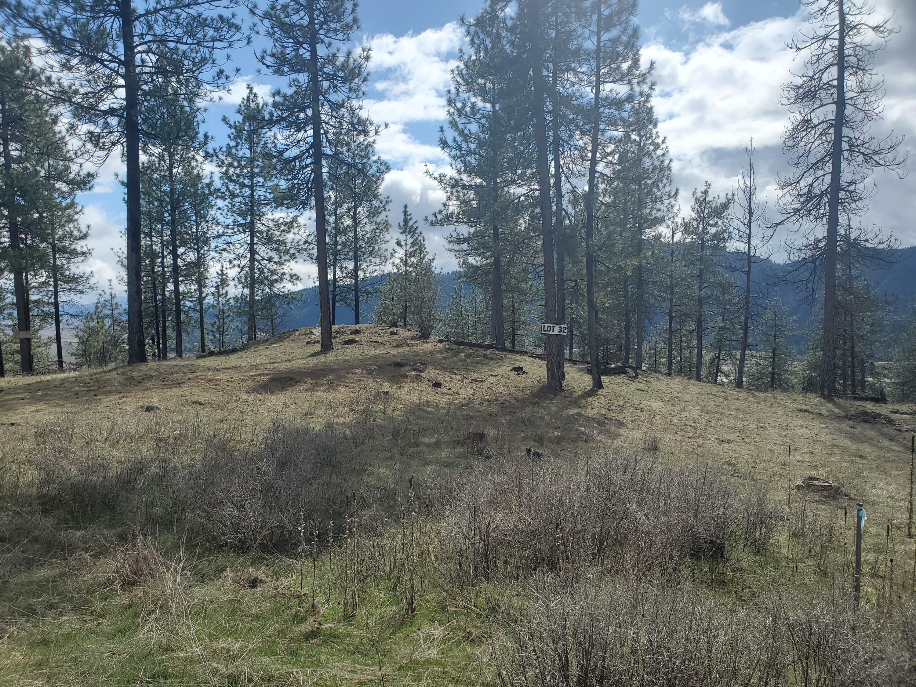 Property Photo: 717 Snead Dr WA 99109